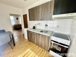 Pronájem bytu 1+1, Mladá Boleslav, Zalužanská, 45 m2