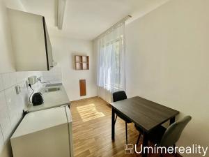 Pronájem bytu 1+1, Mladá Boleslav, Zalužanská, 45 m2