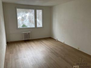 Pronájem bytu 1+1, Ústí nad Labem, Kojetická, 42 m2
