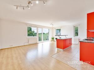 Prodej bytu 2+kk, Tábor, Janáčkova, 77 m2