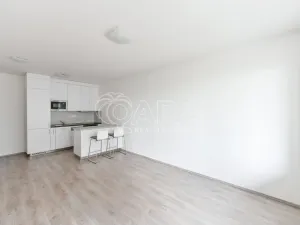 Pronájem bytu 2+kk, Praha - Dolní Měcholupy, Honzíkova, 58 m2