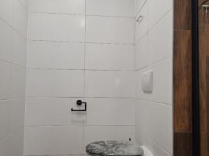 Prodej bytu 2+kk, Teplice, Arbesova, 47 m2