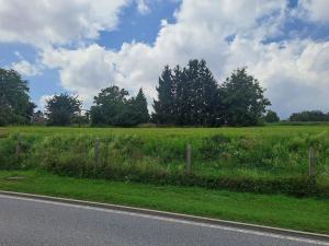 Prodej pozemku, Češov, 2608 m2