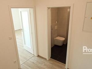 Pronájem bytu 1+kk, Kladno, Štěpána Rautenstraucha, 33 m2