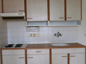 Pronájem bytu 1+kk, Liberec - Liberec XXX-Vratislavice nad Nisou, U Sila, 38 m2