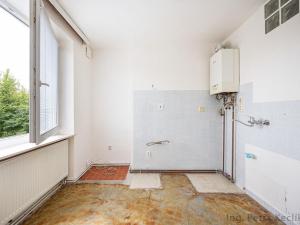 Prodej bytu 2+1, Brno - Husovice, náměstí Republiky, 51 m2