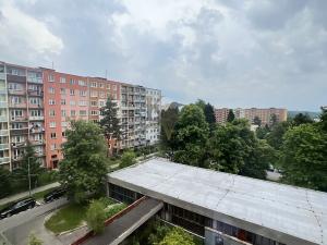 Pronájem bytu 2+kk, Ostrava, Svojsíkova, 48 m2