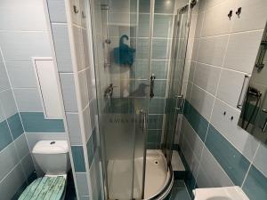Pronájem bytu 2+kk, Ostrava, Svojsíkova, 48 m2