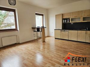 Pronájem bytu 1+kk, Frýdek-Místek, Hluboká, 44 m2