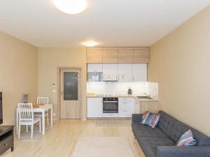 Pronájem bytu 1+kk, Olomouc, Wolkerova, 41 m2