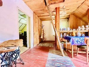 Prodej podílu 1/1 zemědělské usedlosti, Dolní Žandov, 200 m2