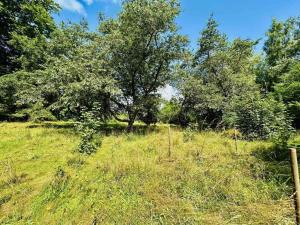 Prodej podílu 1/1 zemědělské usedlosti, Dolní Žandov, 200 m2