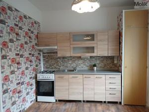 Pronájem bytu 1+1, Chomutov, náměstí Dr. Beneše, 48 m2