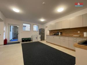 Pronájem bytu 1+kk, Ostrava - Vítkovice, Lidická, 30 m2