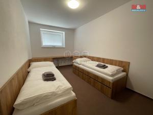 Pronájem bytu 1+kk, Ostrava - Vítkovice, Lidická, 30 m2