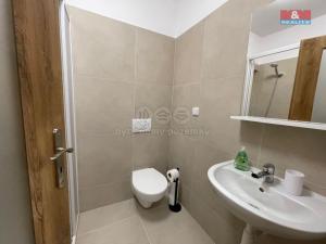 Pronájem bytu 1+kk, Ostrava - Vítkovice, Lidická, 30 m2