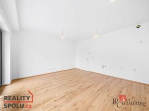 Prodej bytu 1+kk, Plzeň - Jižní Předměstí, Měděná, 36 m2