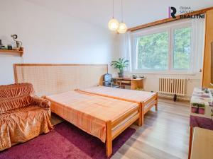 Prodej bytu 1+kk, Jihlava - Horní Kosov, Jarní, 28 m2