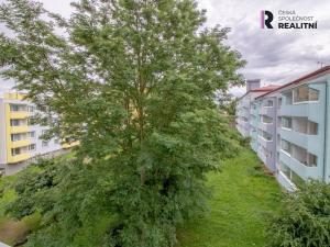 Prodej bytu 1+kk, Jihlava - Horní Kosov, Jarní, 28 m2