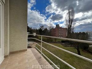 Pronájem bytu 2+1, Brno, Lipová, 79 m2