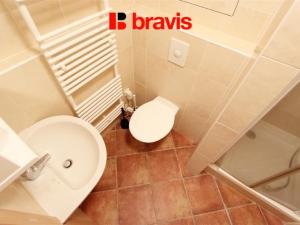 Pronájem bytu 1+kk, Brno - Veveří, Lidická, 42 m2