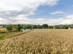 Prodej pozemku pro bydlení, Vražné, 4254 m2