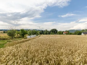 Prodej pozemku pro bydlení, Vražné, 4254 m2