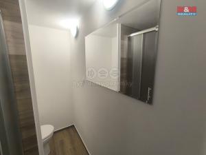 Pronájem bytu 1+1, Chomutov, Růžová, 36 m2