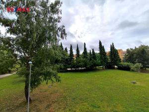 Pronájem bytu 2+kk, Kladno, Čs. armády, 40 m2