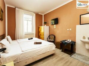 Pronájem bytu 1+kk, Cheb, Svobody, 22 m2