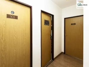 Pronájem bytu 1+kk, Cheb, Svobody, 22 m2