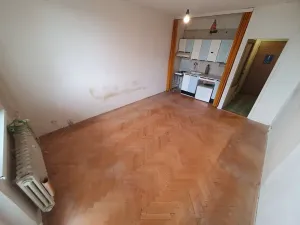 Prodej bytu 1+kk, Brno, Opálkova, 26 m2