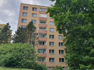 Prodej bytu 1+kk, Brno, Opálkova, 26 m2