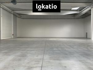 Pronájem skladu, Cheb, 18200 m2