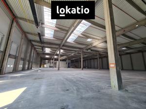 Pronájem skladu, Cheb, 18200 m2