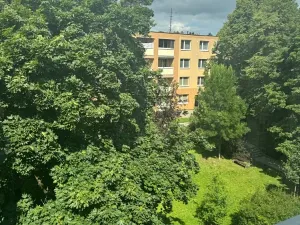 Prodej bytu 2+1, Brno, Novoměstská, 62 m2