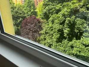 Prodej bytu 2+1, Brno, Novoměstská, 62 m2
