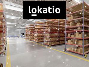 Pronájem skladu, Praha, 9000 m2