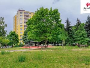 Prodej bytu 3+1, Plzeň, Žlutická, 75 m2