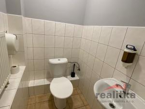 Prodej obchodního prostoru, Opava - Kylešovice, Lužická, 439 m2