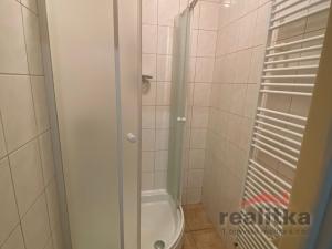 Prodej obchodního prostoru, Opava - Kylešovice, Lužická, 439 m2