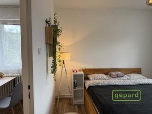 Pronájem bytu 3+1, Hlubočky, Letní, 59 m2