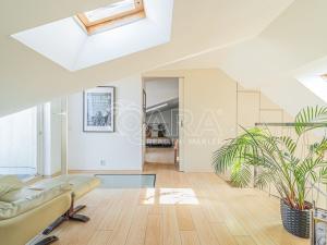 Prodej bytu 3+kk, Praha - Holešovice, Haškova, 115 m2