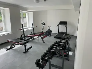 Pronájem bytu 2+kk, Praha - Vinohrady, Perucká, 41 m2