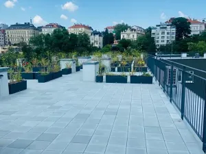 Pronájem bytu 2+kk, Praha - Vinohrady, Perucká, 42 m2