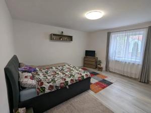 Pronájem bytu 4+kk, Duchcov, Jungmannova, 103 m2