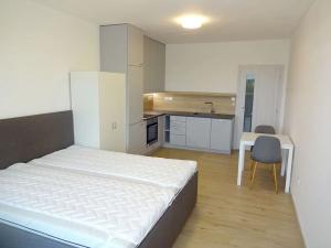 Pronájem bytu 1+kk, Brno, Wainerovo náměstí, 38 m2