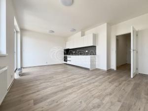 Pronájem bytu 1+kk, Brno - Ponava, Střední, 46 m2