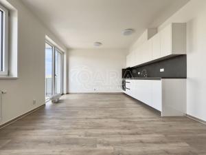 Pronájem bytu 1+kk, Brno - Ponava, Střední, 46 m2