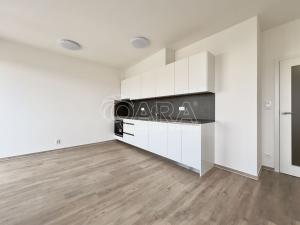 Pronájem bytu 1+kk, Brno - Ponava, Střední, 46 m2